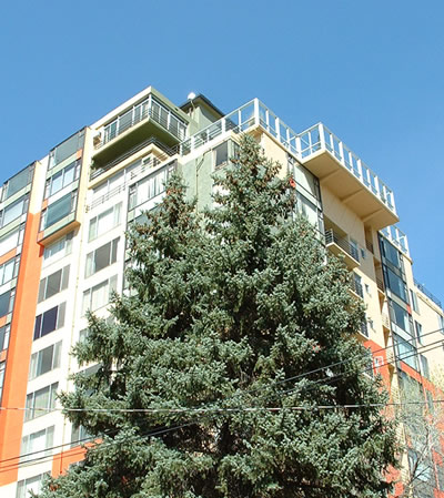 Park Tower in Reno rises over the Truckee River with vibrant colors